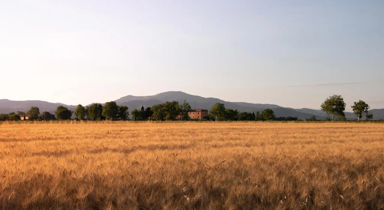 Agriturismo Il Pescinone Venturina Terme